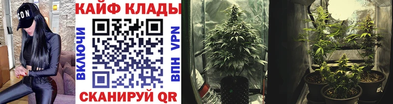 Где купить Киржач Марихуана  A-PVP  ГАШ  NBOMe  Меф 