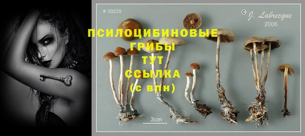 экстази Абинск