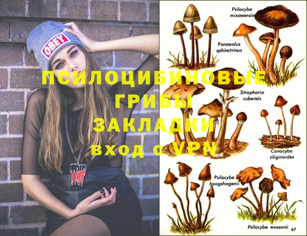 каннабис Абаза
