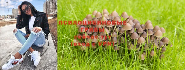 каннабис Абаза